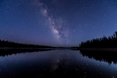 轮廓的水域附近的树木在天空和星星
